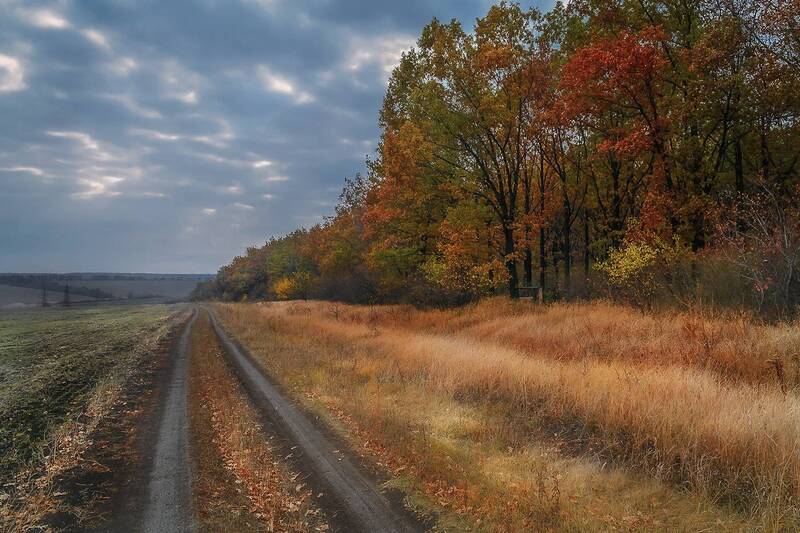 Дорога в осень. фото превью