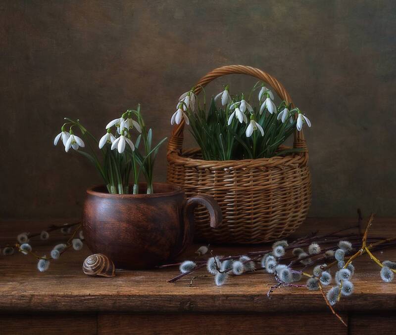 натюрморт, весна, цветы, подснежники, галантус, верба, корзина Подснежники... фото превью