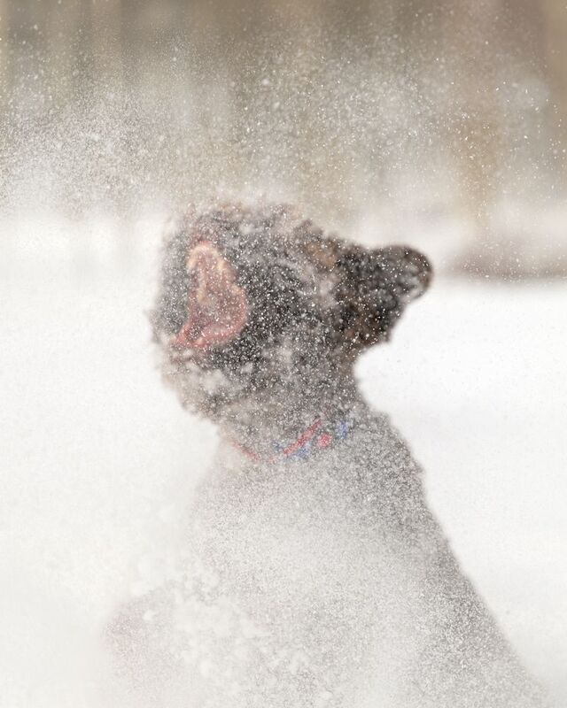 Cry фото превью
