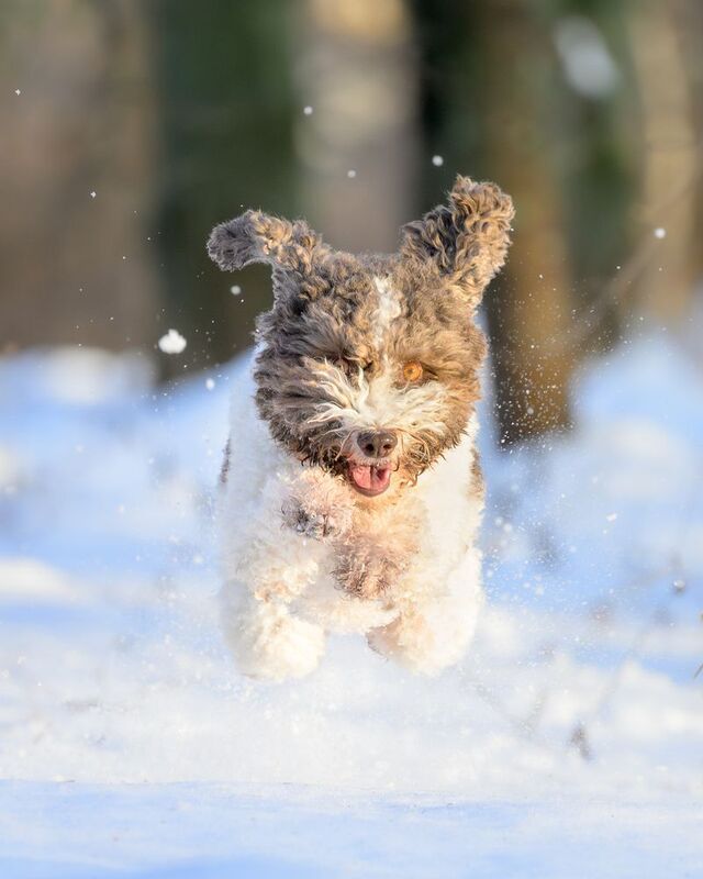 Flight фото превью