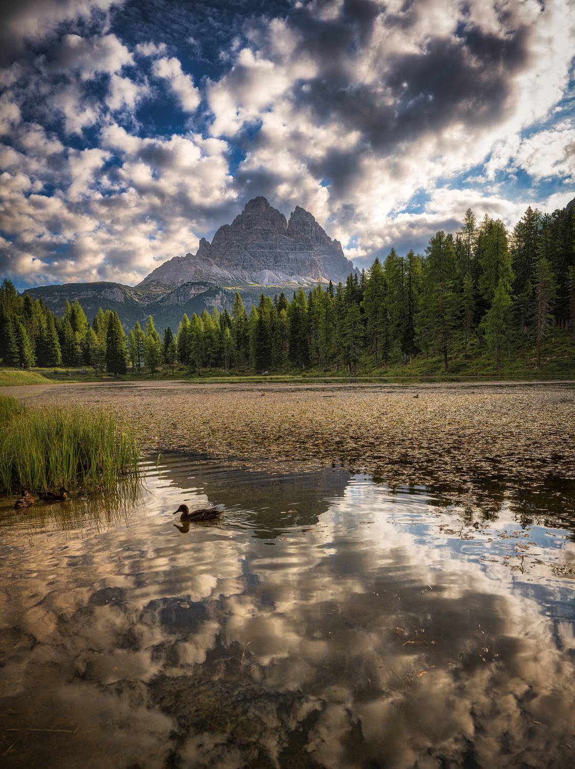 Landscape, Dolomiti, Nikon, Zavaydin Zavaydinov
