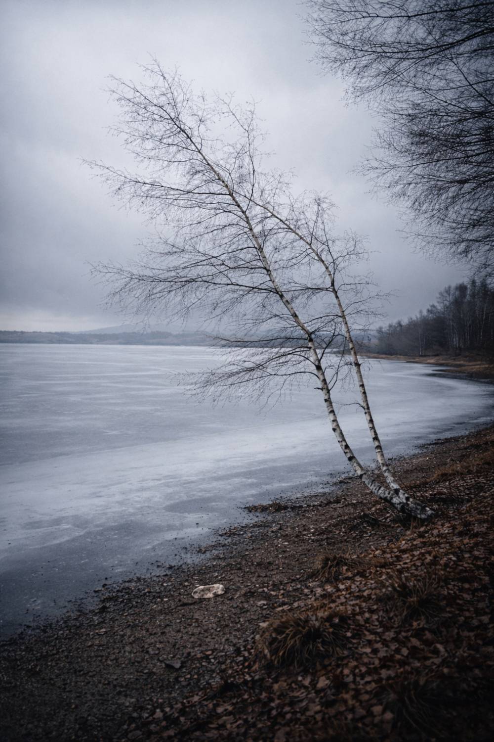 , Шилов Александр