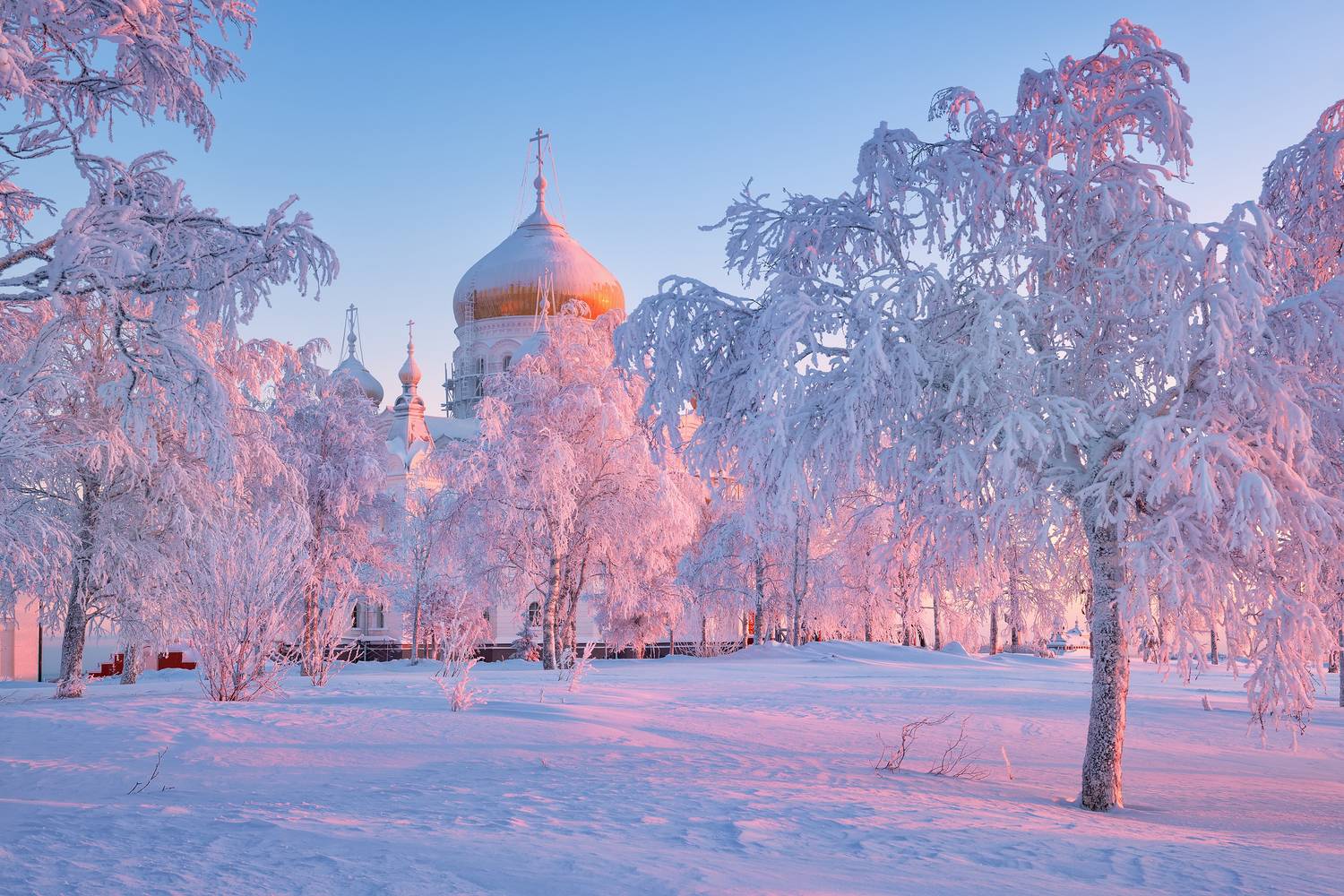 белогорье, Евдокимов Максим