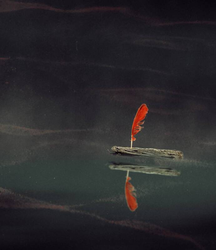 Отважный моряк фото превью