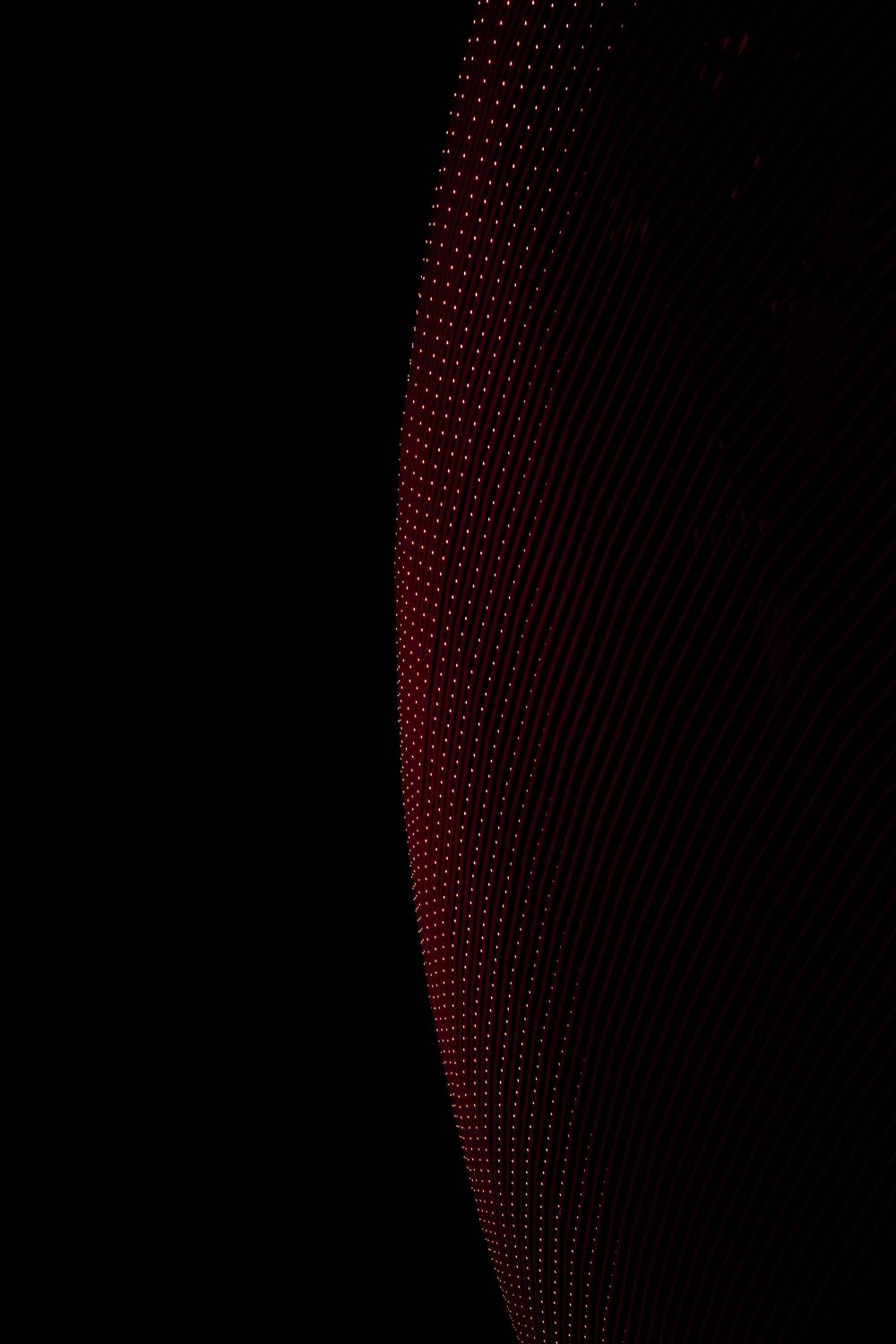 , Щепанов Дмитрий