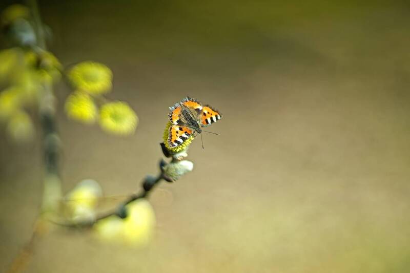 В теплый день... фото превью