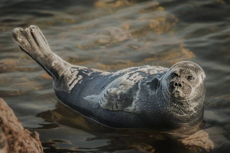 Серьезный парень фото превью