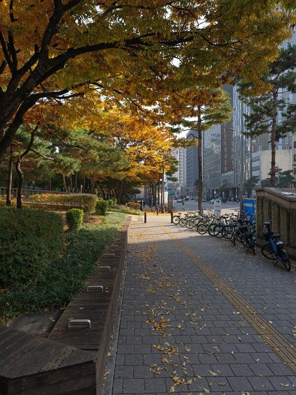 Seoul. 2025 фото превью