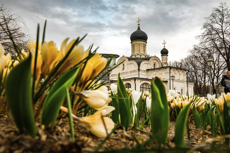 весна, начало., парк, зарядье., 28.03.2026 Весна начало. Парк Зарядье. 28.03.2026 фото превью