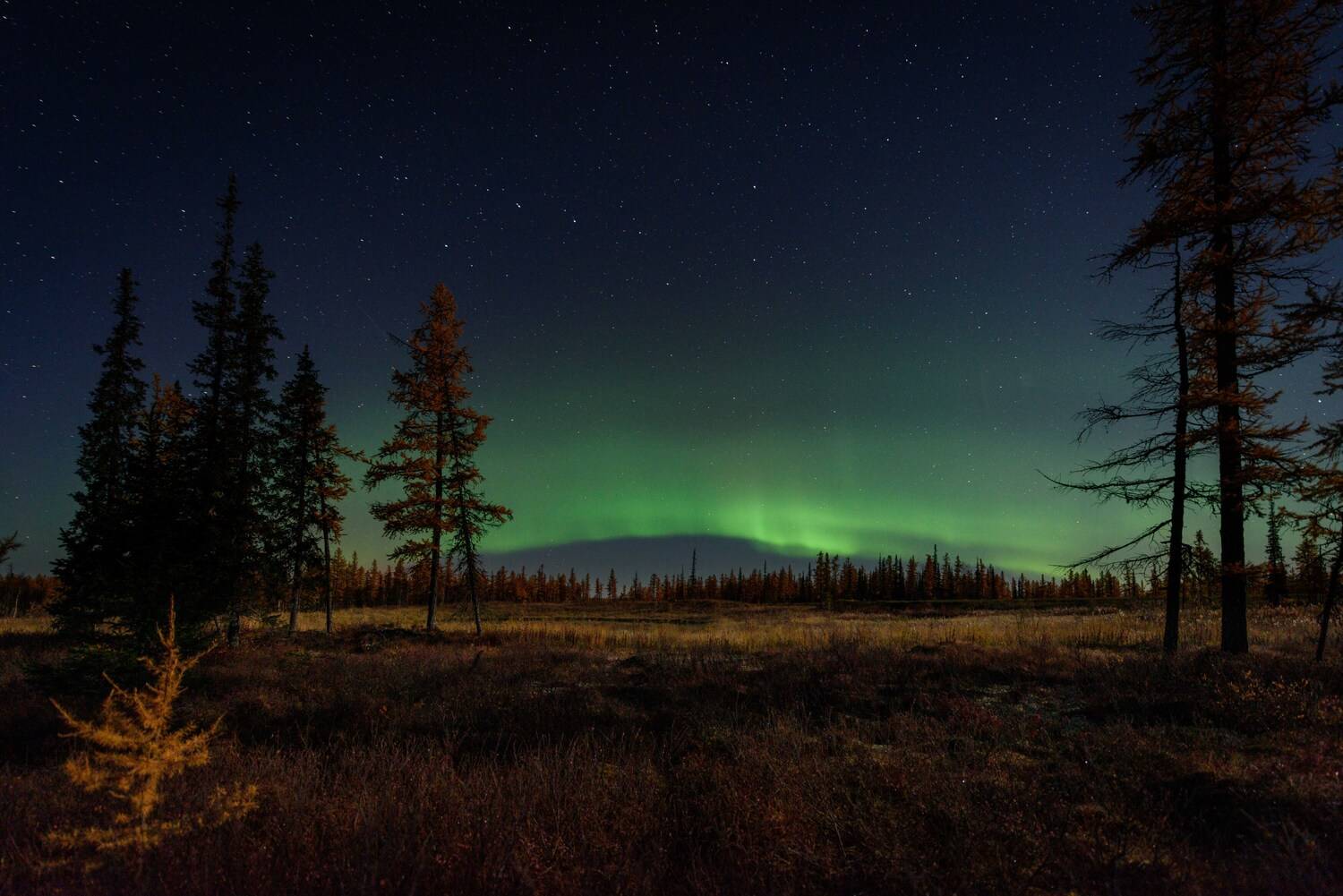 северное сияние, аврора, ночь, полярное сияние, пейзаж, путешествие, ямал, янао, надымский район, Сторожев Олег