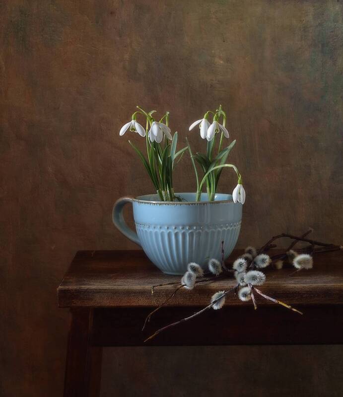 натюрморт, подснежник, галантус, верба, весна весна... фото превью