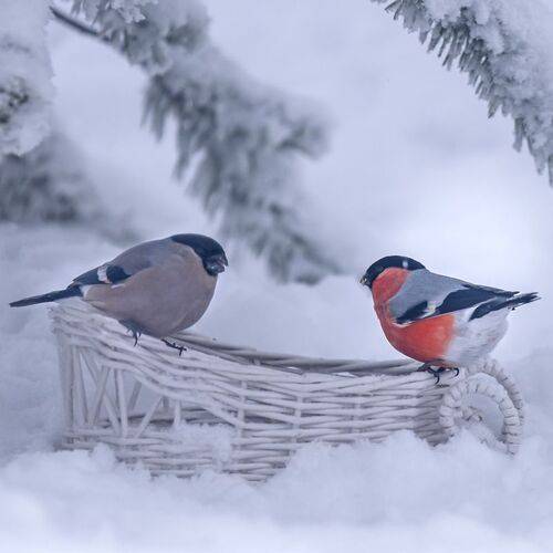 Когда Весна?