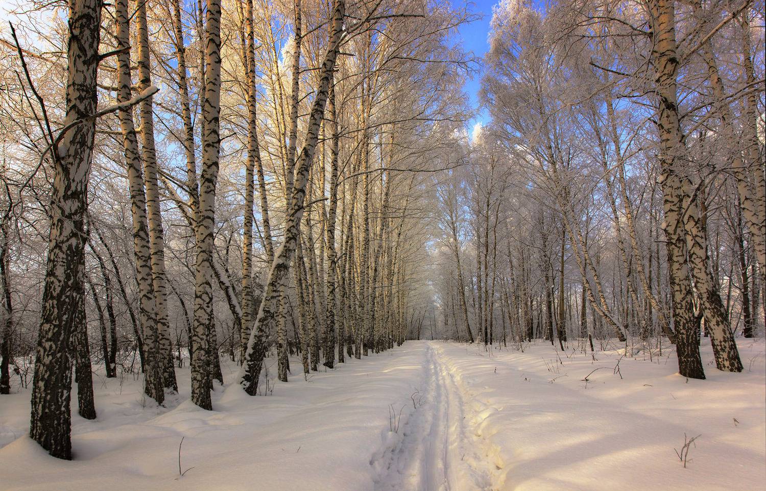 , Хахлов Алексей