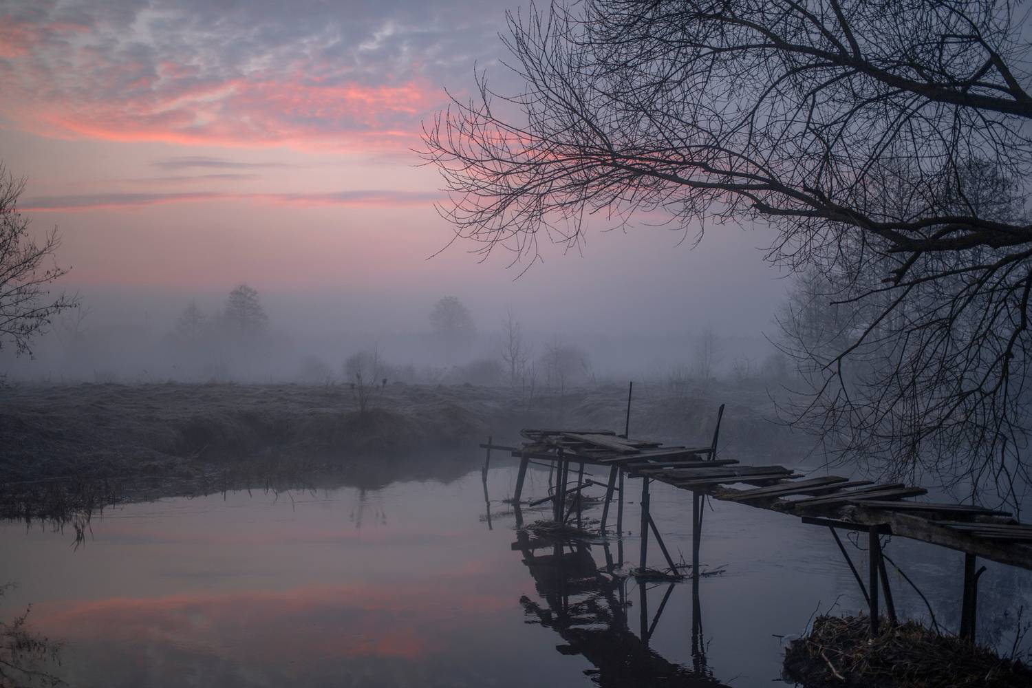 , Игорь Денисов