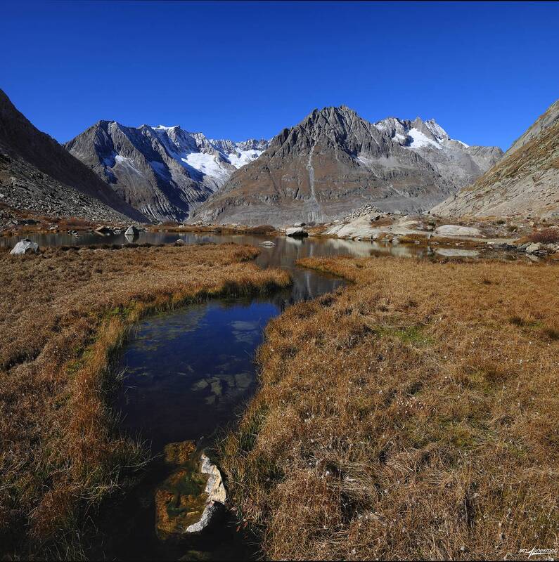 swiss Осень на болоте.. фото превью