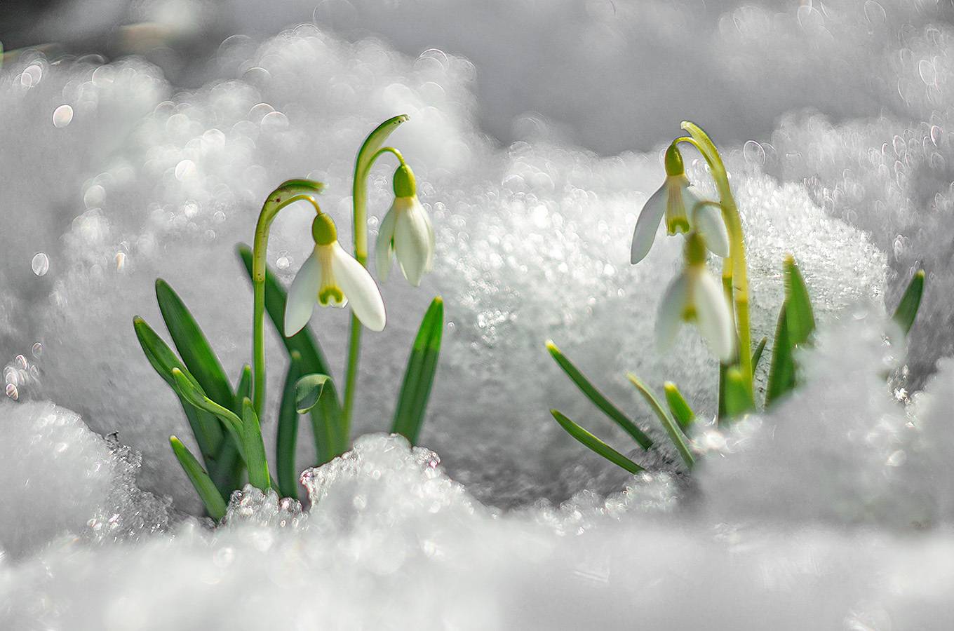 , Анатолий Зверев