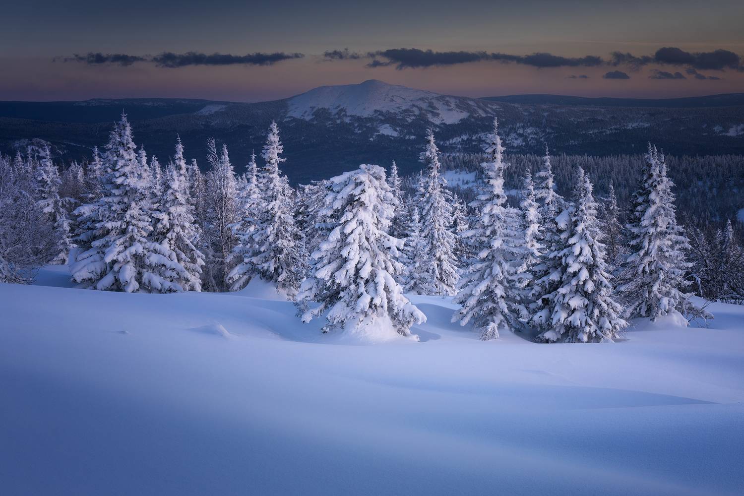 , Татьяна Бирюкова