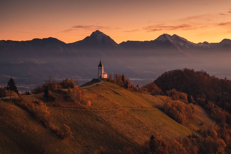 Jamnik фото превью
