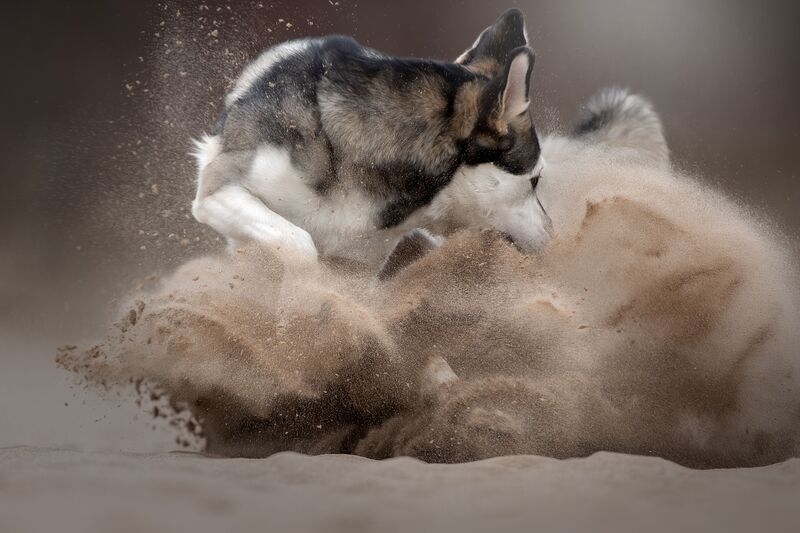 Стихия земли фото превью