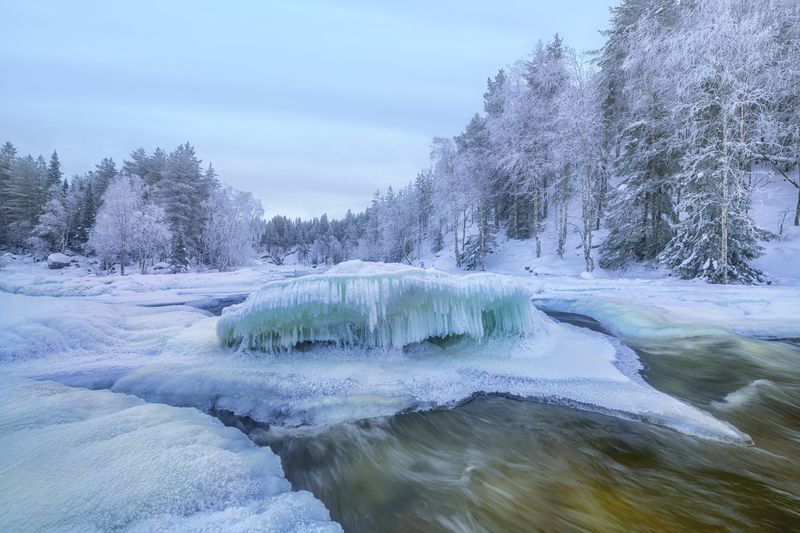 кольский А ведь сожрёт... фото превью