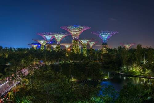 Gardens by the Bay
