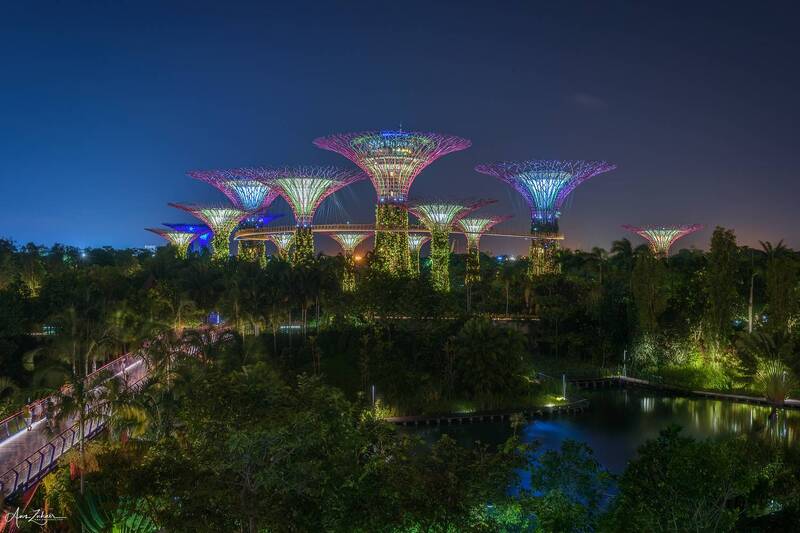 city, cityscape, gardens, architecture, travel, photography Gardens by the Bay фото превью