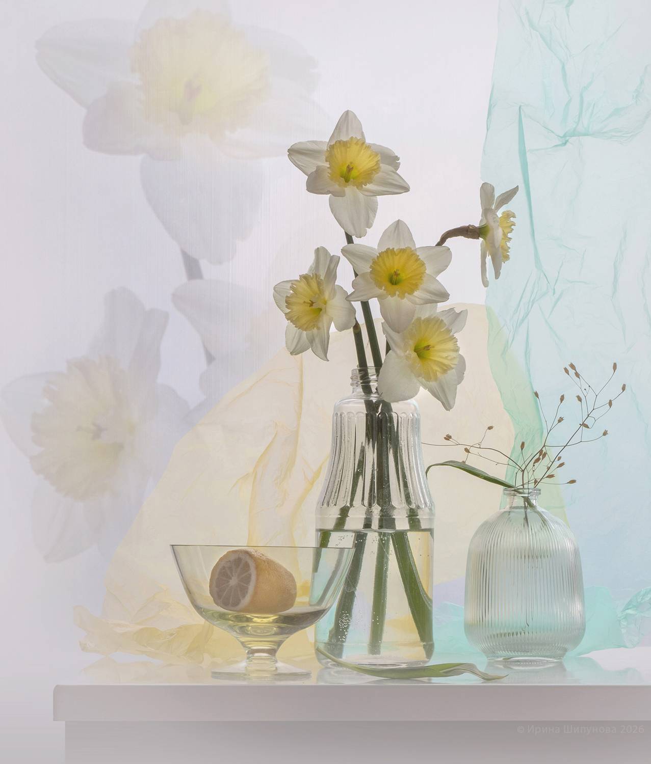 , Шипунова Ирина