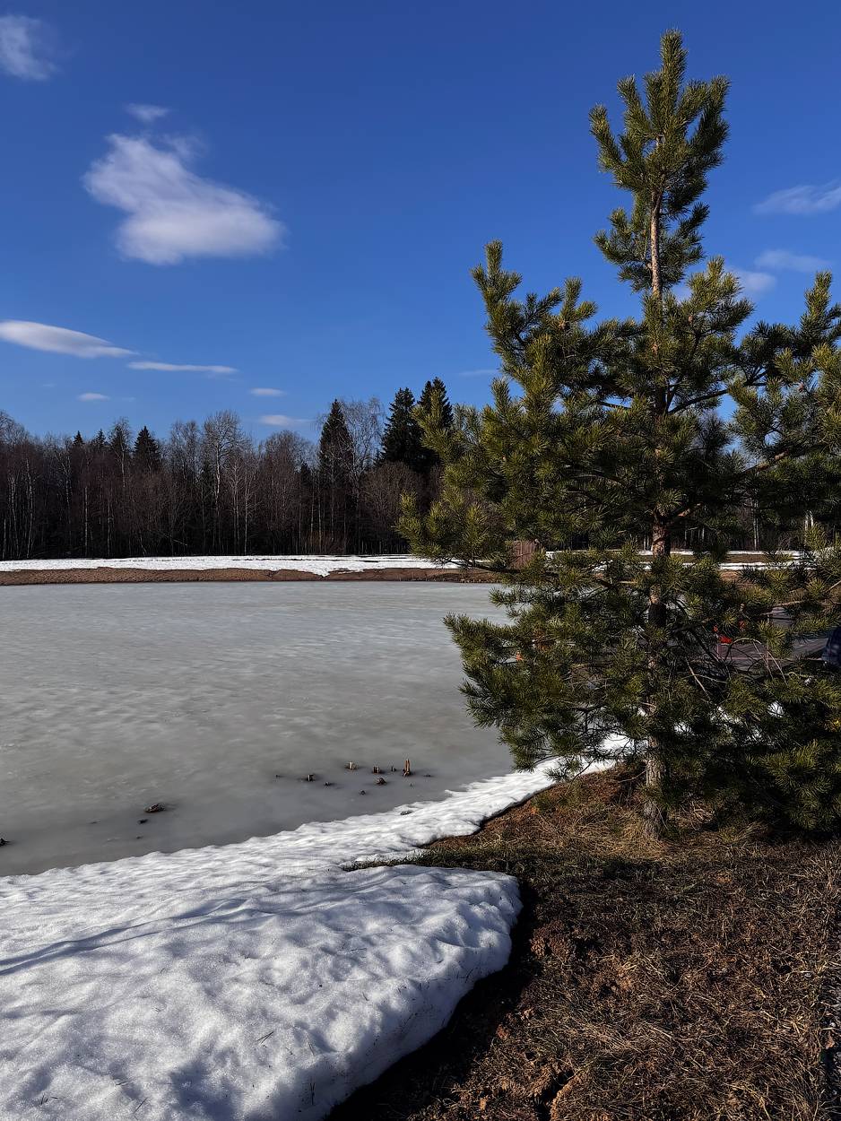 , Новикова Ольга