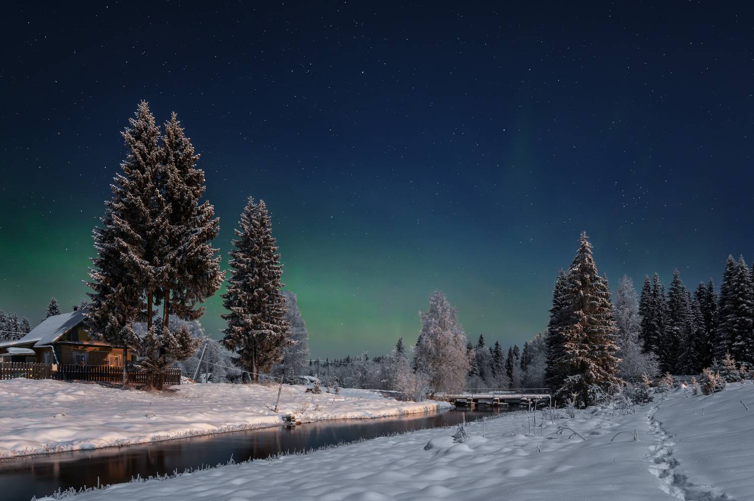 , Алексей Турчин