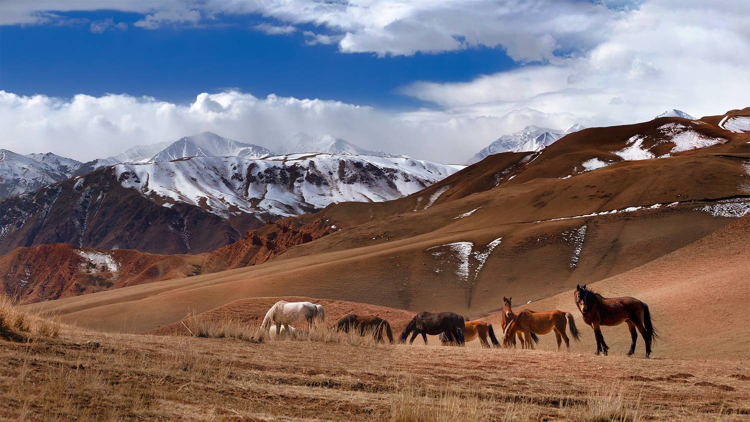 кыргызстан, конорчек, Элина Магалимова
