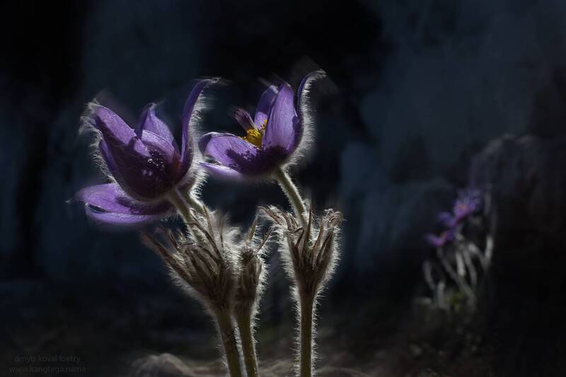 Где-то на астероиде … фото превью