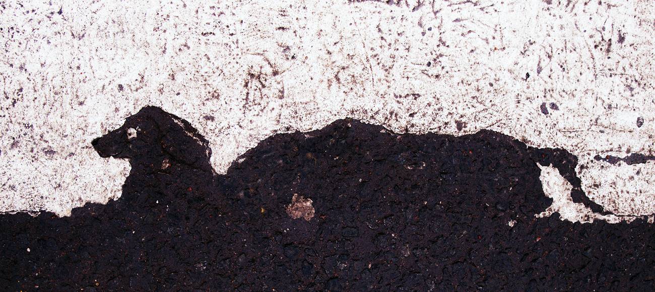pareidolia, парейдолия, абстракция, Илья Веулоп