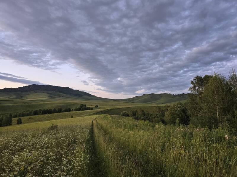 portfolio  фото превью