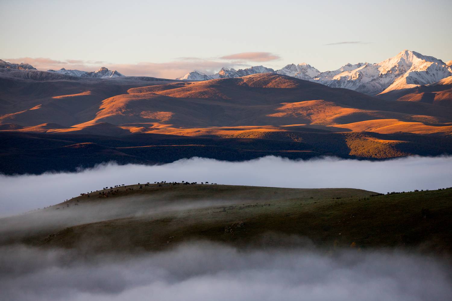 рассвет, Мария Раздорова