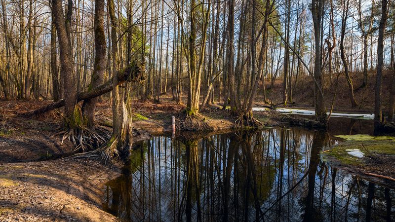 Весенние мотивы. река Поплавка фото превью