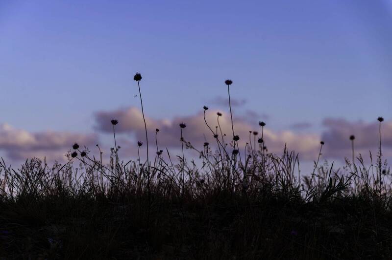 небо, вечер, силуэты В сумерках фото превью
