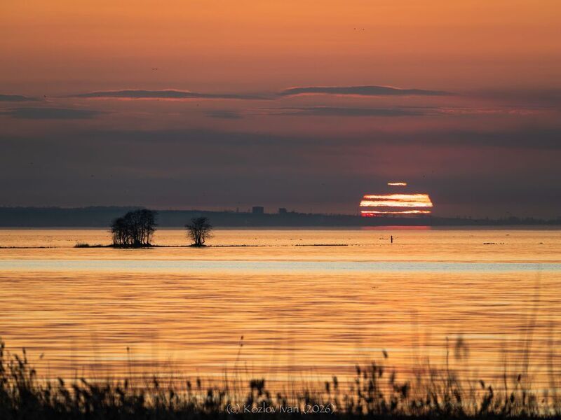 Золотой залив фото превью