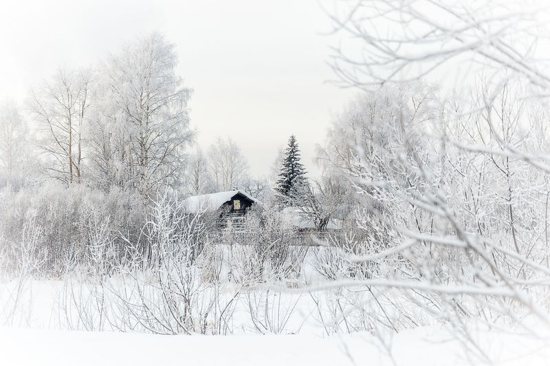 Пейзаж, Зима, Республика Коми, Коми, Деревня, Село  фото превью