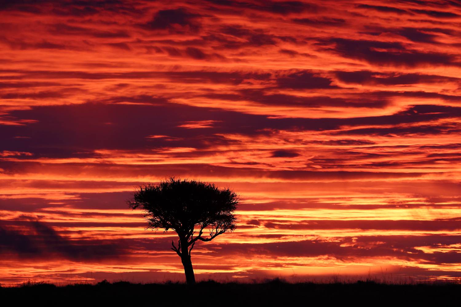 , Гудков Андрей