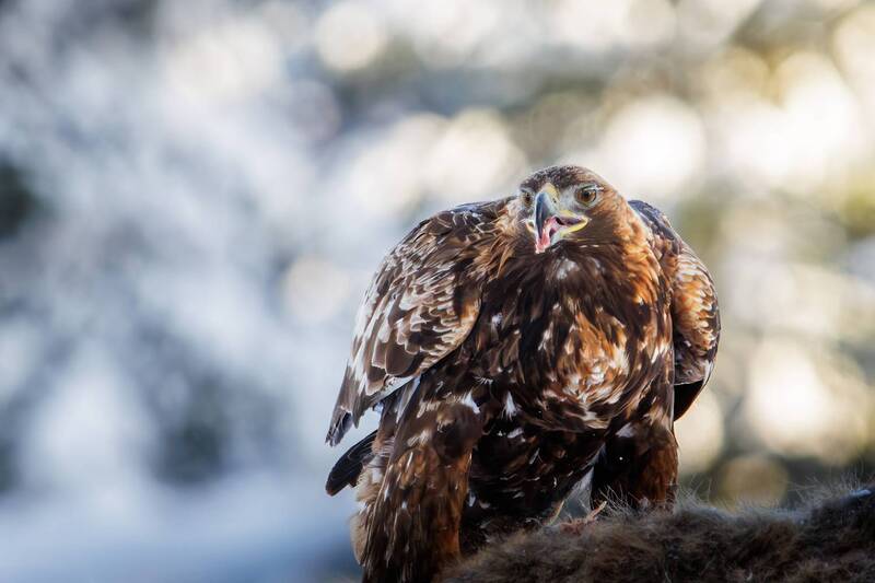 Моё! фото превью