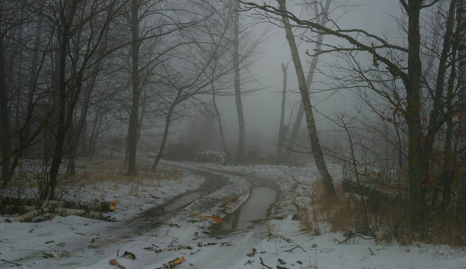 оттепель, зима, туман, Александр Жарников