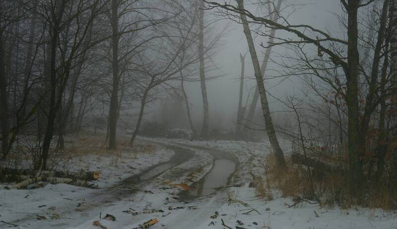 оттепель, зима, туман Туманное утро фото превью