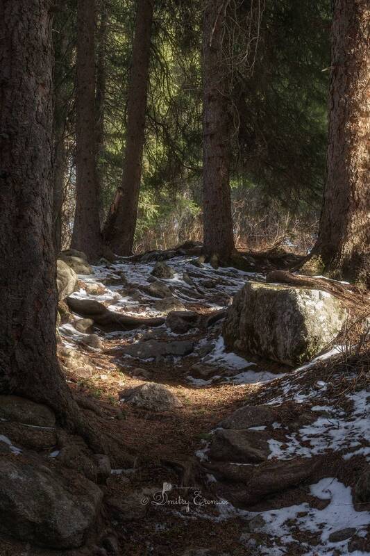 лес, горы, пейзаж, природа Когда горный лес нашёптывает свои древние легенды... фото превью