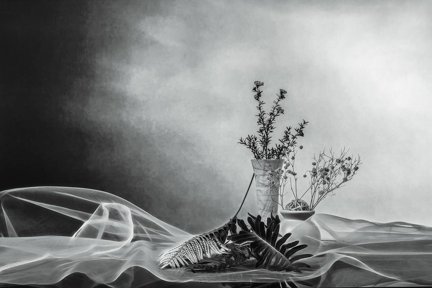bodeg&oacute;n, blanco y negro, composici&oacute;n, Agus