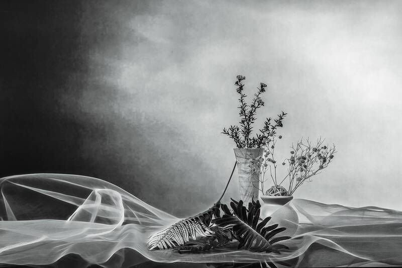 bodegón, blanco y negro, composición Bodegón B&N фото превью