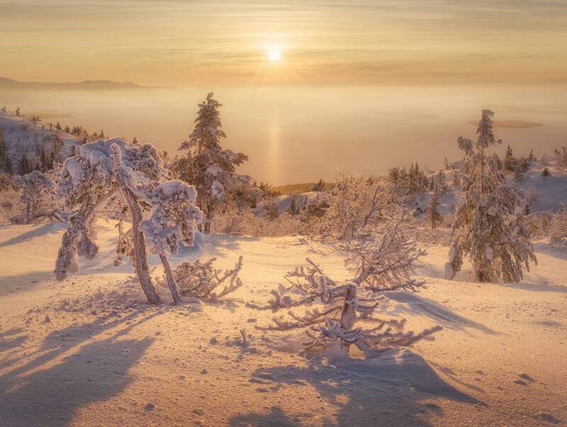 Золотой свет севера фото превью