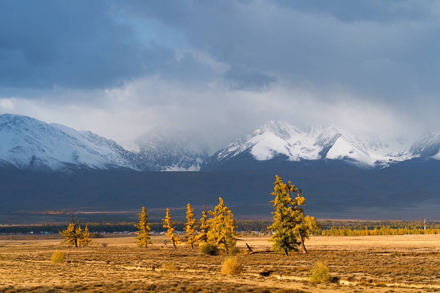 Россия, Алтай, осень, пейзаж, Лариса Дука