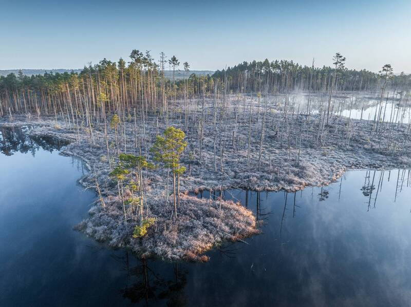 Холодное утро фото превью