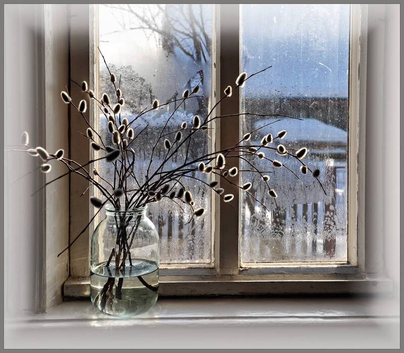 За окном весна фото превью