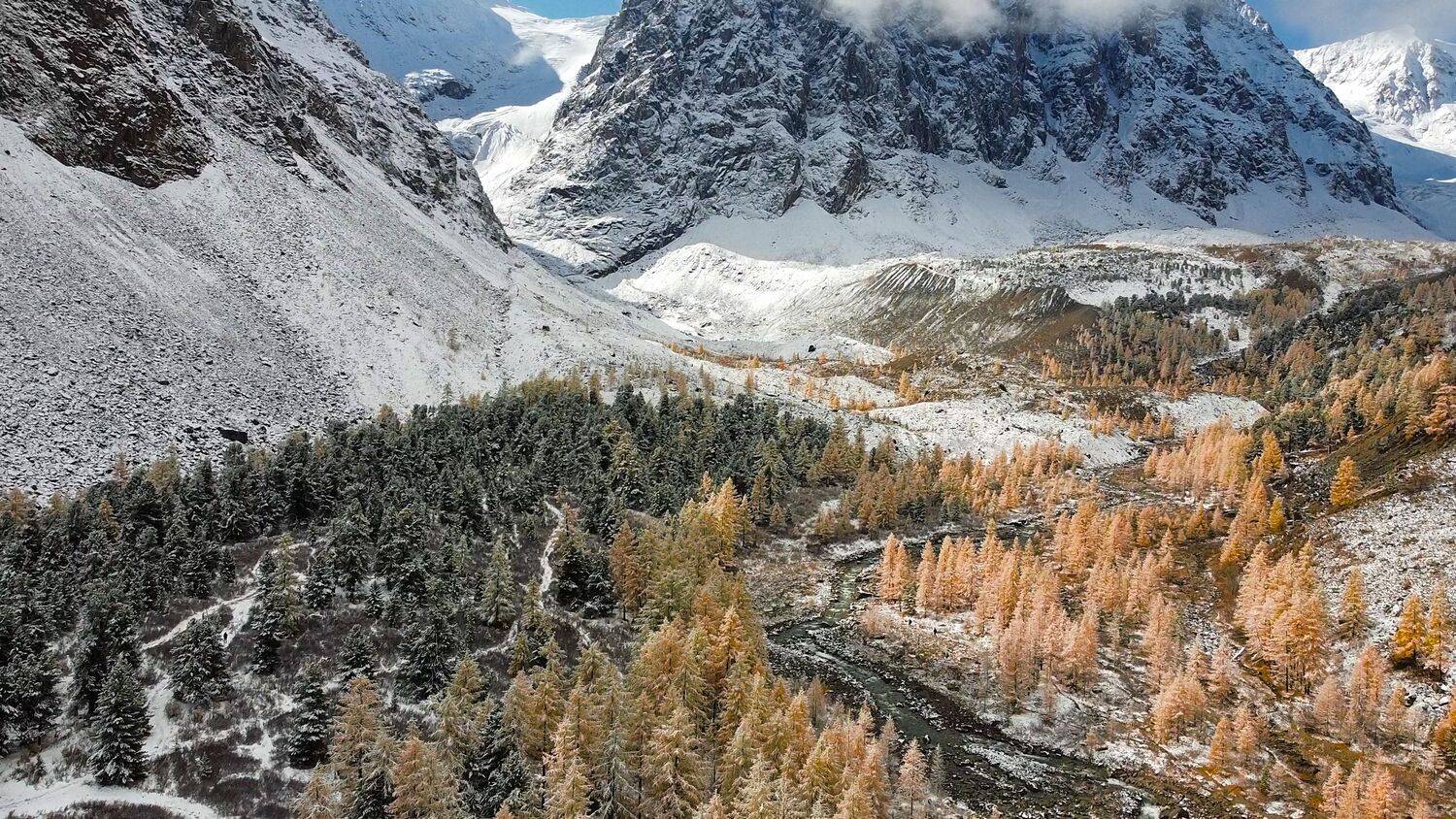 Алтай, Актру, природа, Россия, дрог, Лариса Дука